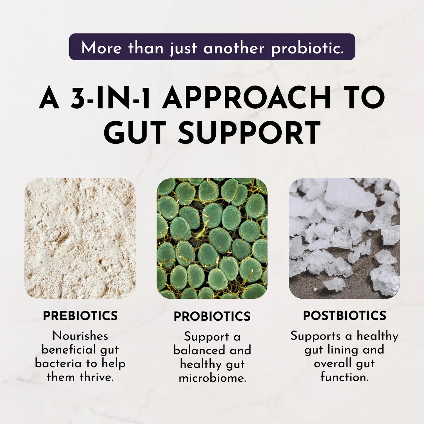 Just Ingredients elderberry lemonade 3-in-1 probiotic complex