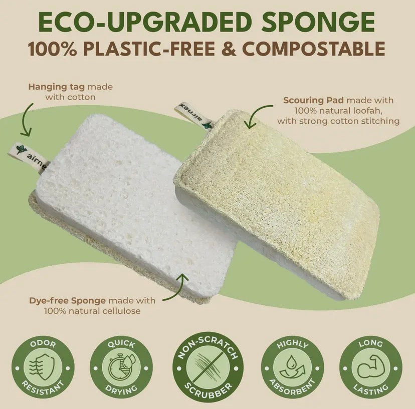 Loofah Sponge