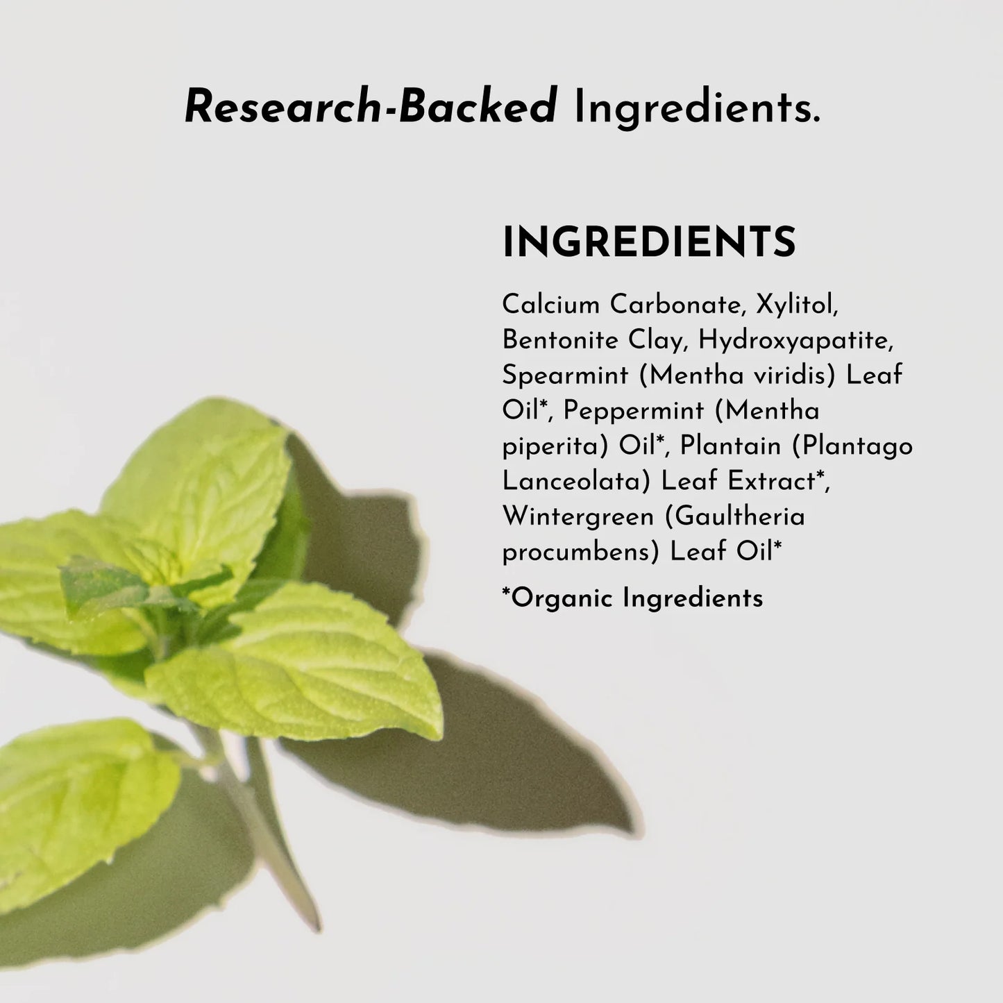Just Ingredients remineralizing tooth powder