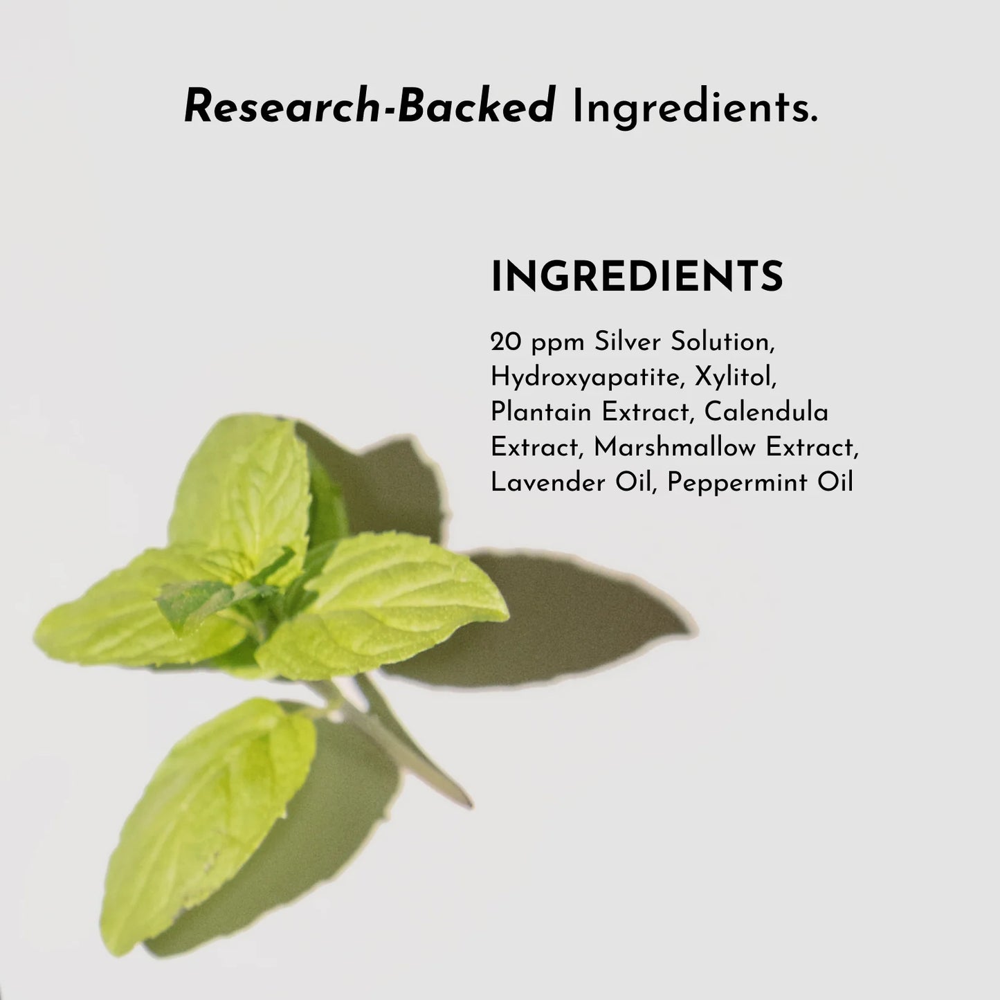 Just Ingredients remineralizing mouth wash