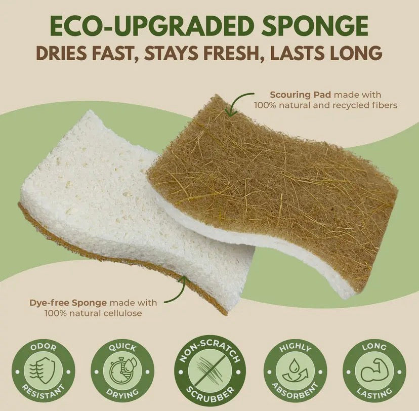 Plant-based sponges 2-pack