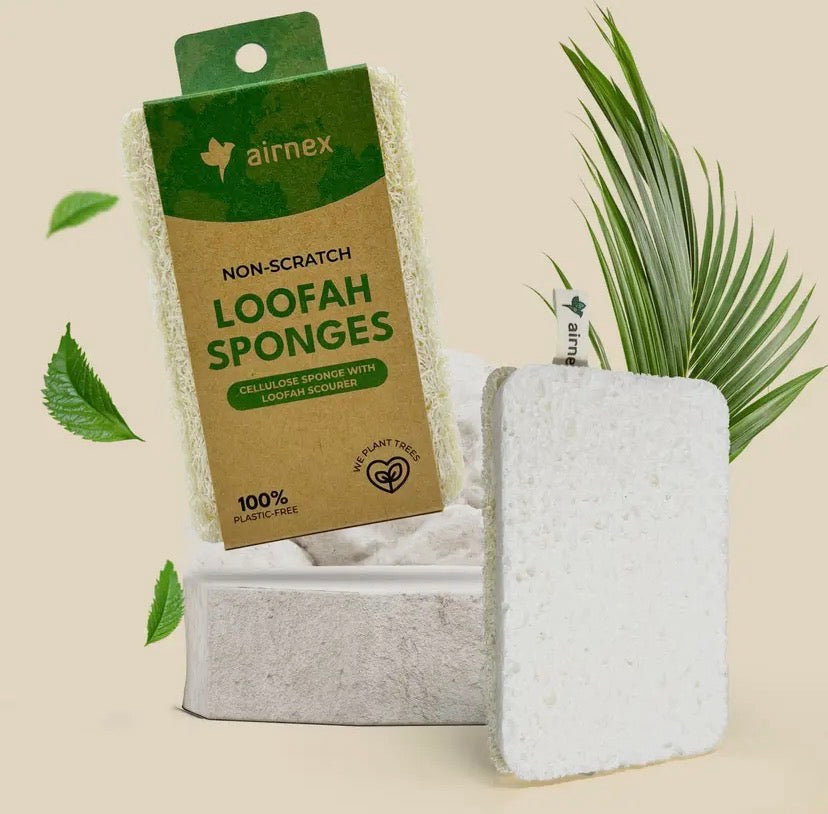 Loofah Sponge