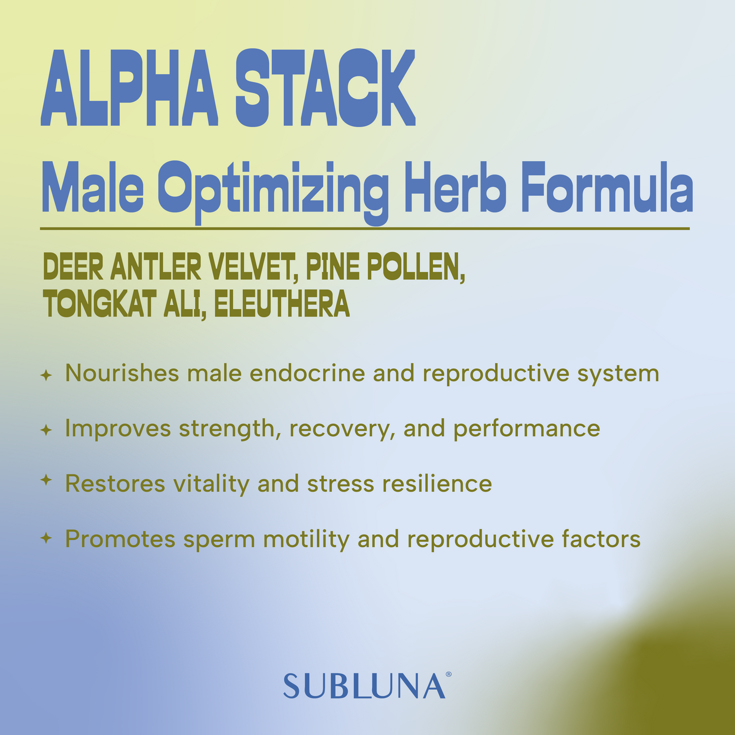 Alpha Stack: Male Performance Gummy