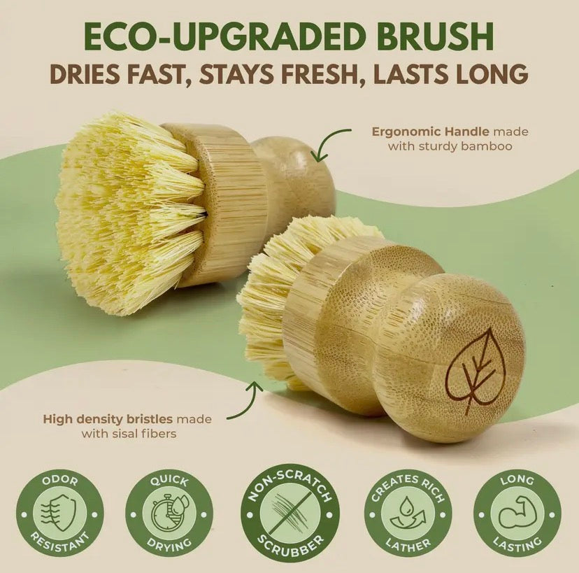 Bamboo dish brush