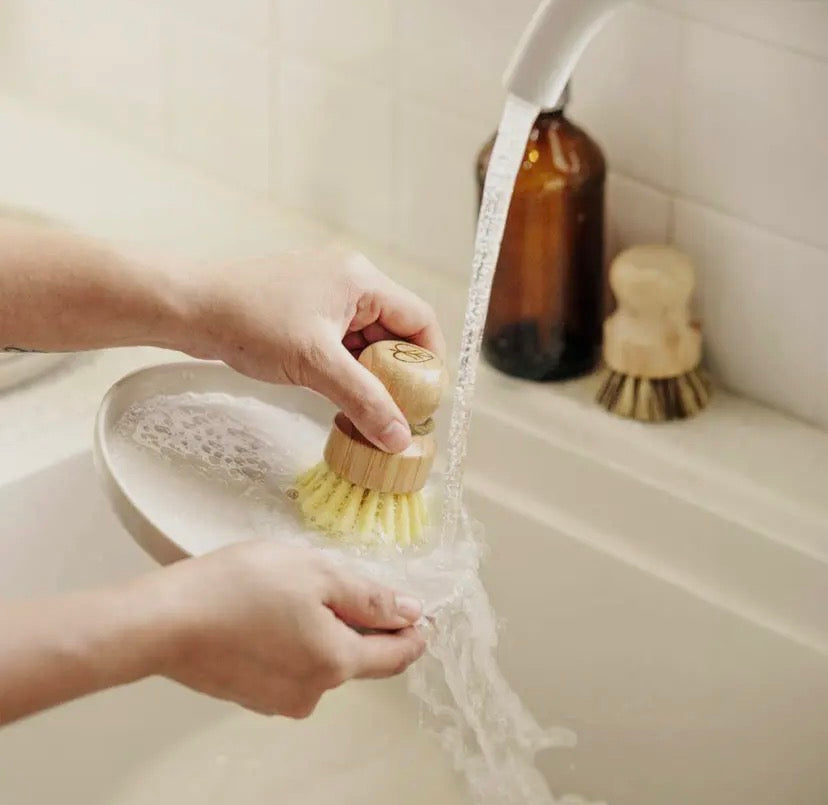 Bamboo dish brush
