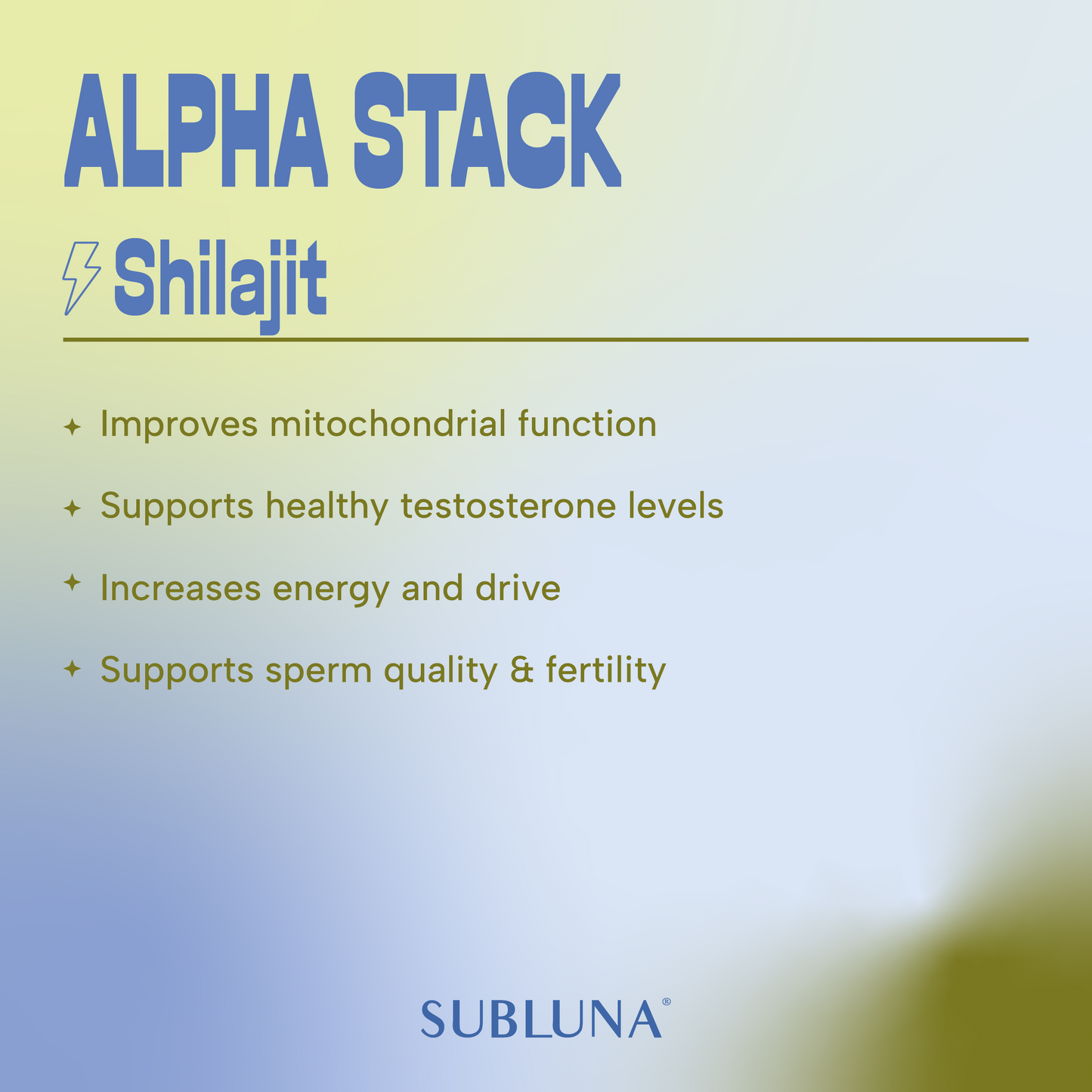 Alpha Stack: Male Performance Gummy