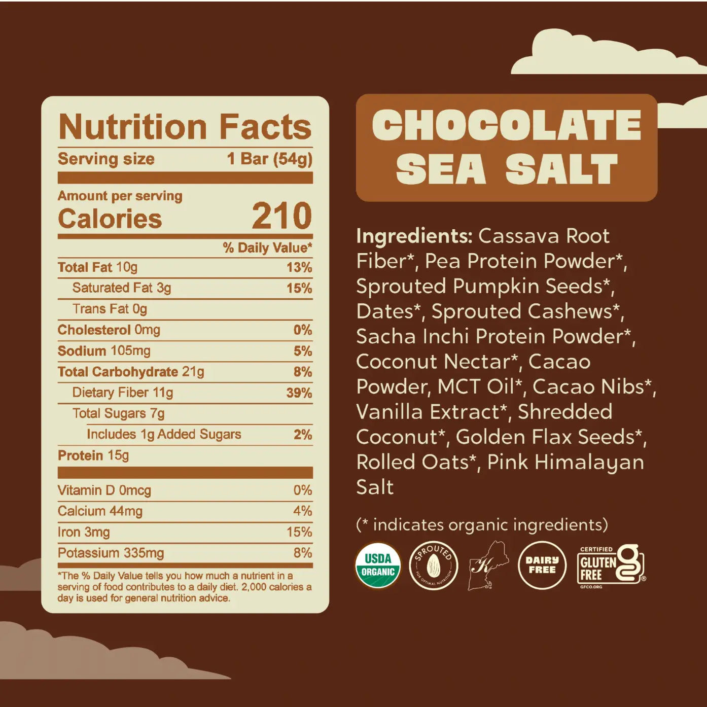 Healthy Truth chocolate sea salt protein bar