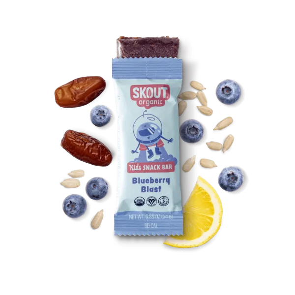 Skout Organic kids bars - 6 count